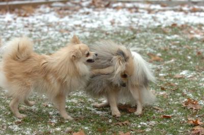 Dec3_05_316.JPG
