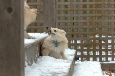 Dec3_05_031.JPG