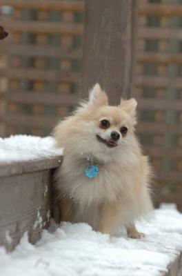 Dec3_05_033.JPG