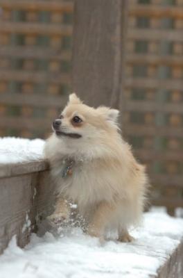 Dec3_05_034.JPG