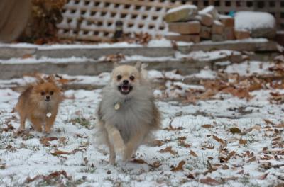Dec3_05_044.JPG