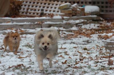 Dec3_05_045.JPG