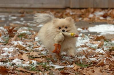 Dec3_05_157.JPG