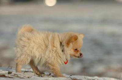 Dec6_05_339.JPG