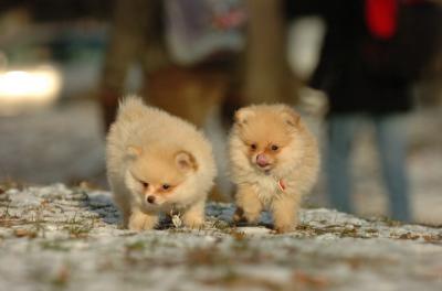 Dec6_05_348.JPG