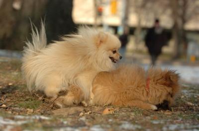 Dec6_05_376.JPG