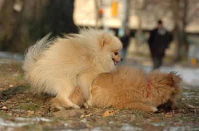 Dec6_05_377.JPG