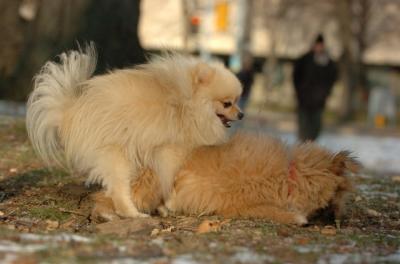 Dec6_05_378.JPG