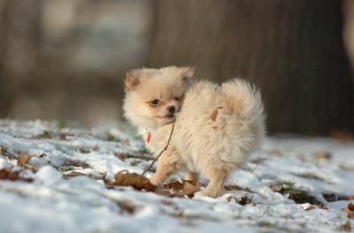 Dec6_05_396.JPG