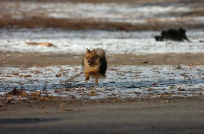 Dec6_05_158.JPG