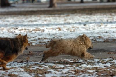 Dec6_05_253.JPG
