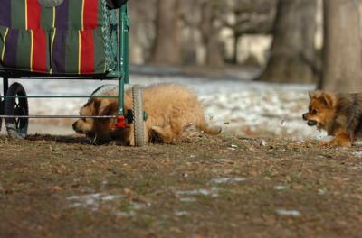 Dec6_05_258.JPG