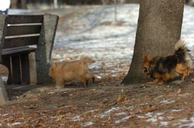 Dec6_05_260.JPG