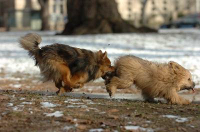 Dec6_05_265.JPG