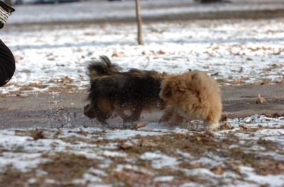 Dec6_05_266.JPG