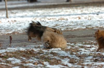 Dec6_05_267.JPG