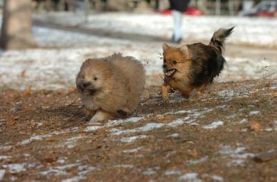 Dec6_05_277.JPG