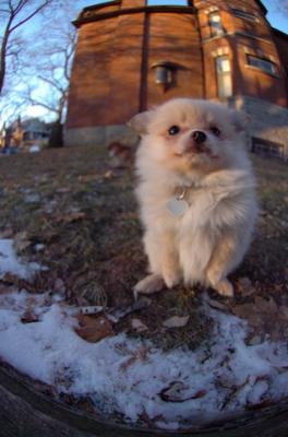 Dec7f_05_053.JPG