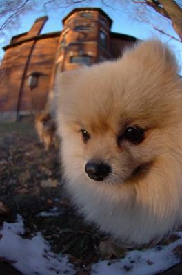 Dec7f_05_056.JPG