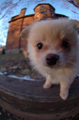 Dec7f_05_057.JPG