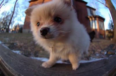 Dec7f_05_058.JPG