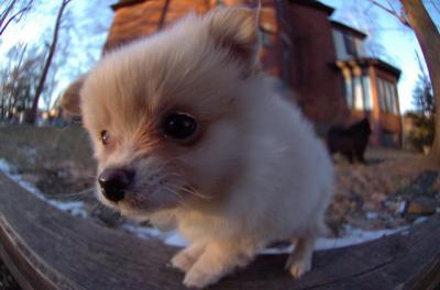 Dec7f_05_059.JPG