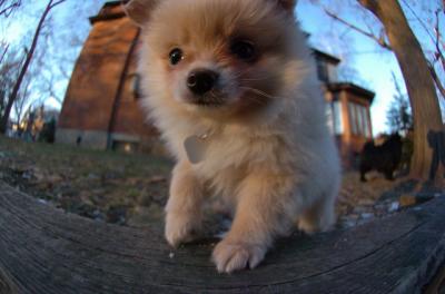 Dec7f_05_062.JPG