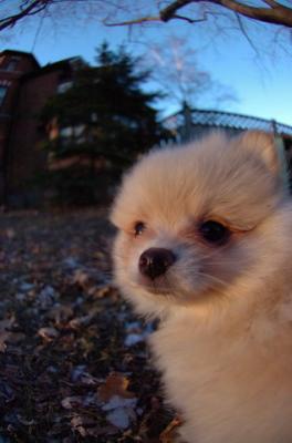 Dec7f_05_063.JPG