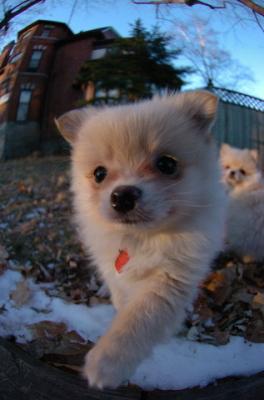 Dec7f_05_064.JPG