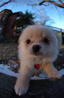 Dec7f_05_068.JPG