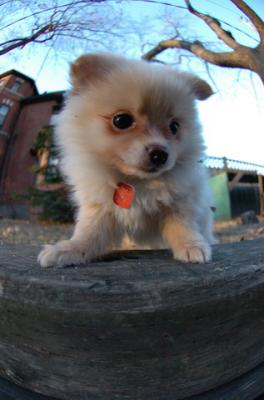 Dec7f_05_069.JPG