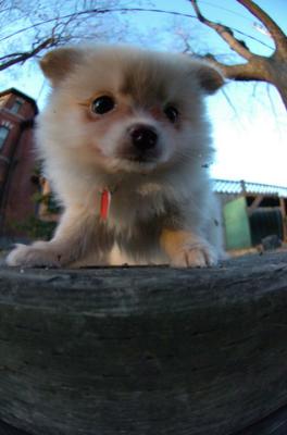 Dec7f_05_071.JPG