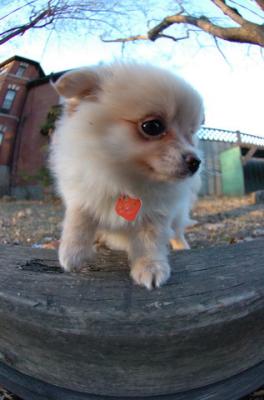 Dec7f_05_073.JPG