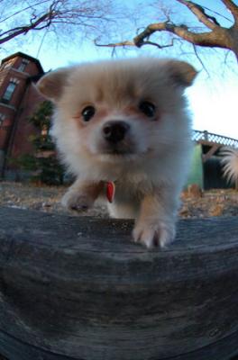 Dec7f_05_074.JPG