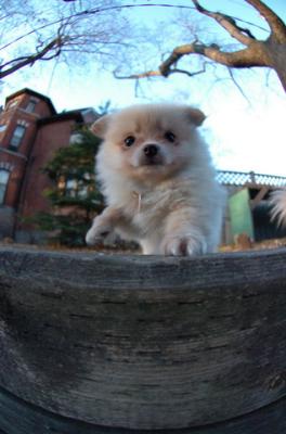 Dec7f_05_077.JPG