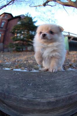 Dec7f_05_079.JPG