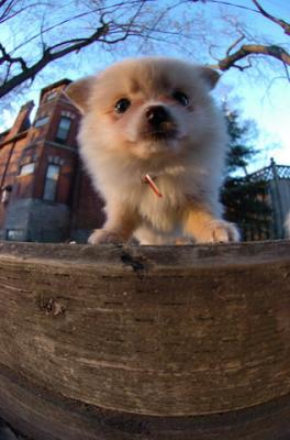 Dec7f_05_083.JPG