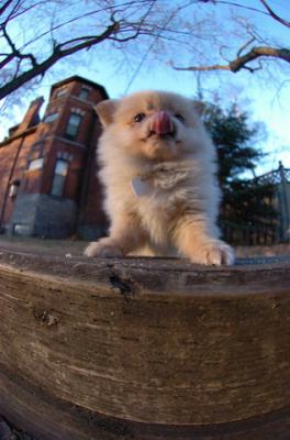 Dec7f_05_084.JPG