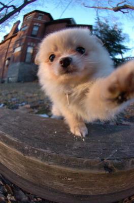 Dec7f_05_086.JPG