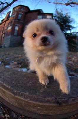 Dec7f_05_087.JPG