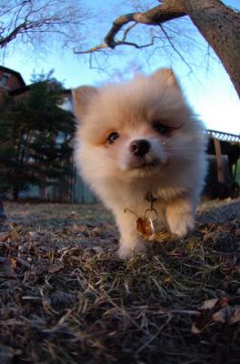 Dec7f_05_089.JPG