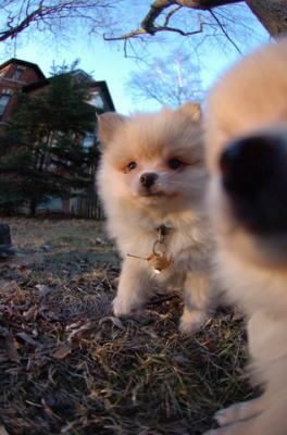 Dec7f_05_091.jpg