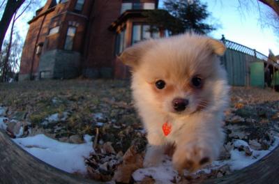 Dec7f_05_093.JPG