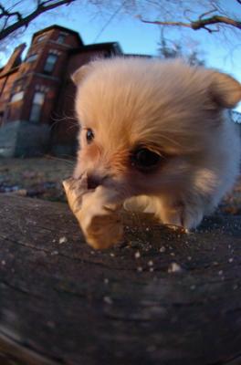 Dec7f_05_094.JPG