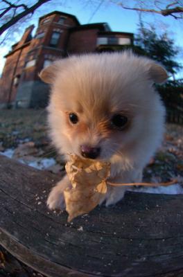 Dec7f_05_095.JPG