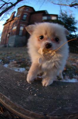 Dec7f_05_096.JPG