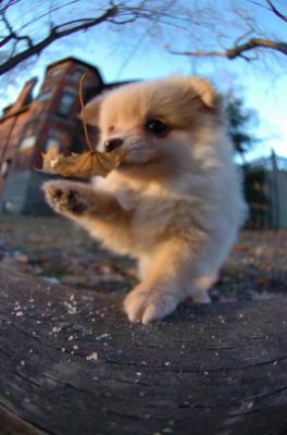 Dec7f_05_097.JPG