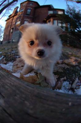 Dec7f_05_099.JPG