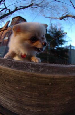 Dec7f_05_102.JPG