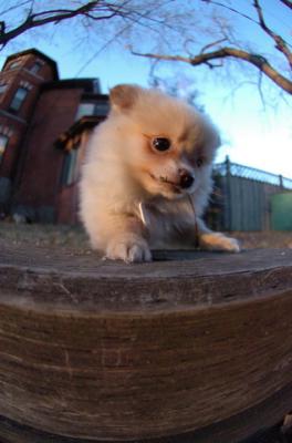 Dec7f_05_103.JPG